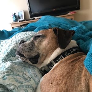 Meet your Posher, Stacey